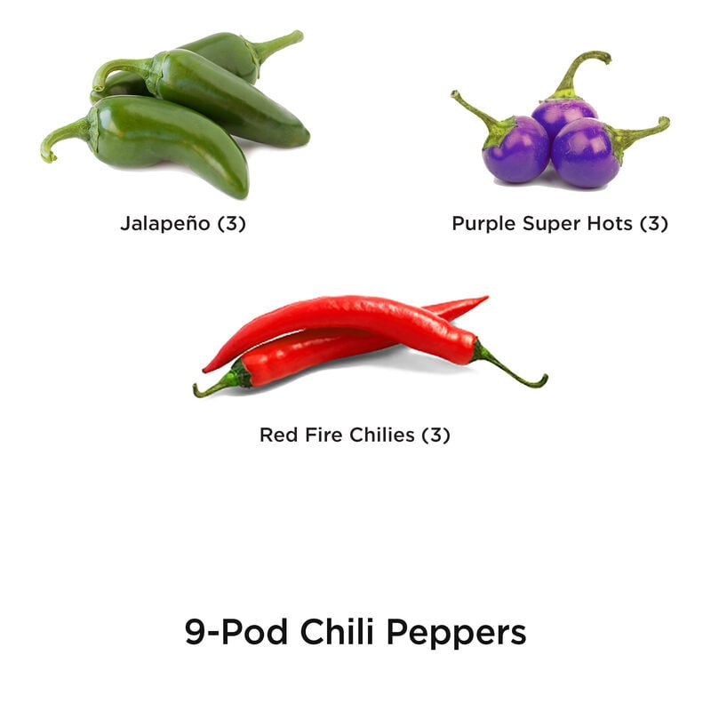 Chili Pepper Seed Pod Kit image number null